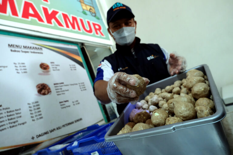 Baksi BSI 5