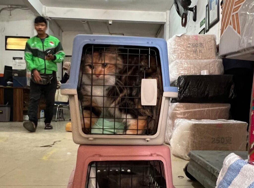 KAI-Kalog-hewan-mudik-2